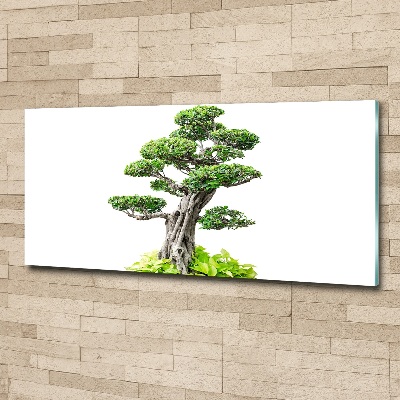 Foto obraz akryl svislý do obýváku Bonsai