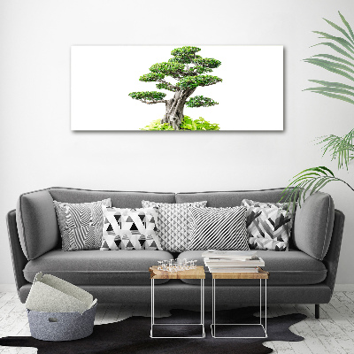 Foto obraz akryl svislý do obýváku Bonsai