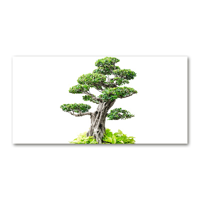 Foto obraz akryl svislý do obýváku Bonsai