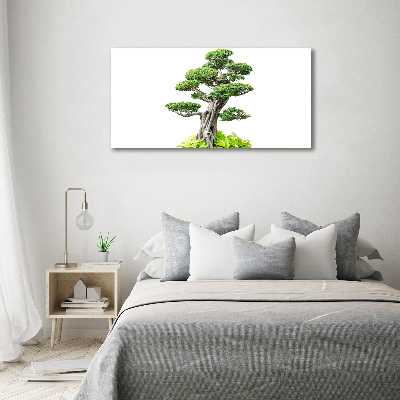 Foto obraz akryl svislý do obýváku Bonsai