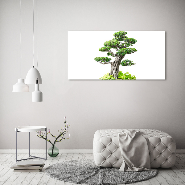 Foto obraz akryl svislý do obýváku Bonsai