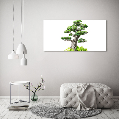 Foto obraz akryl svislý do obýváku Bonsai