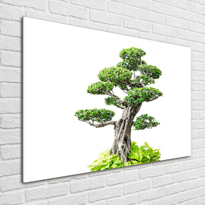 Foto obraz akryl svislý do obýváku Bonsai