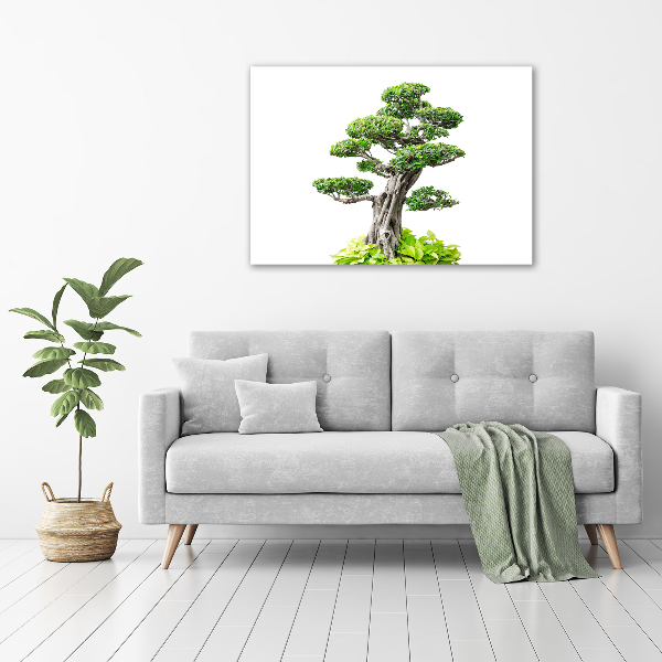 Foto obraz akryl svislý do obýváku Bonsai