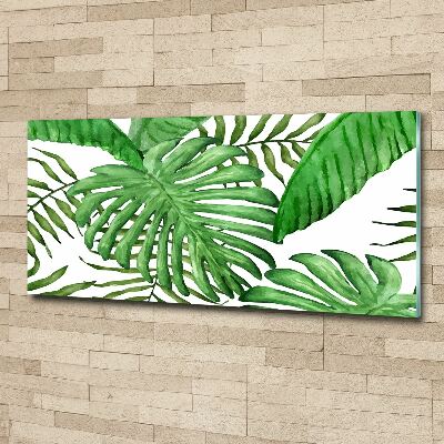 Moderní foto-obraz akryl na stěnu Tropické listí