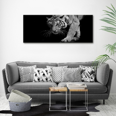 Foto obraz akrylový Tygr