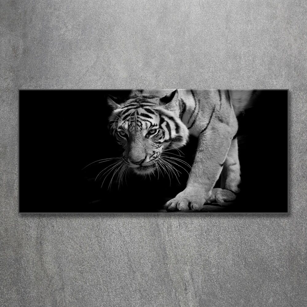 Foto obraz akrylový Tygr