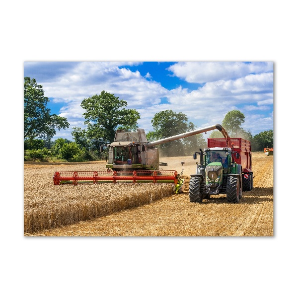 Foto obraz akrylový na stěnu Kombajn a traktor