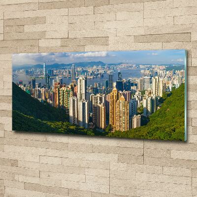 Foto obraz akrylové sklo Hongkong panorama