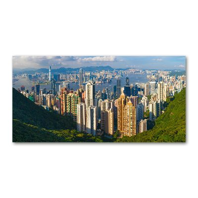 Foto obraz akrylové sklo Hongkong panorama