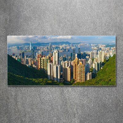 Foto obraz akrylové sklo Hongkong panorama