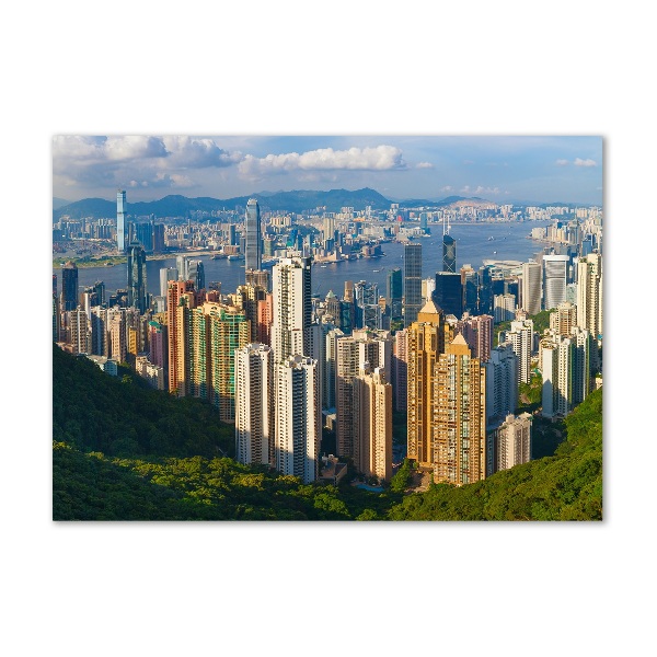 Foto obraz akrylové sklo Hongkong panorama