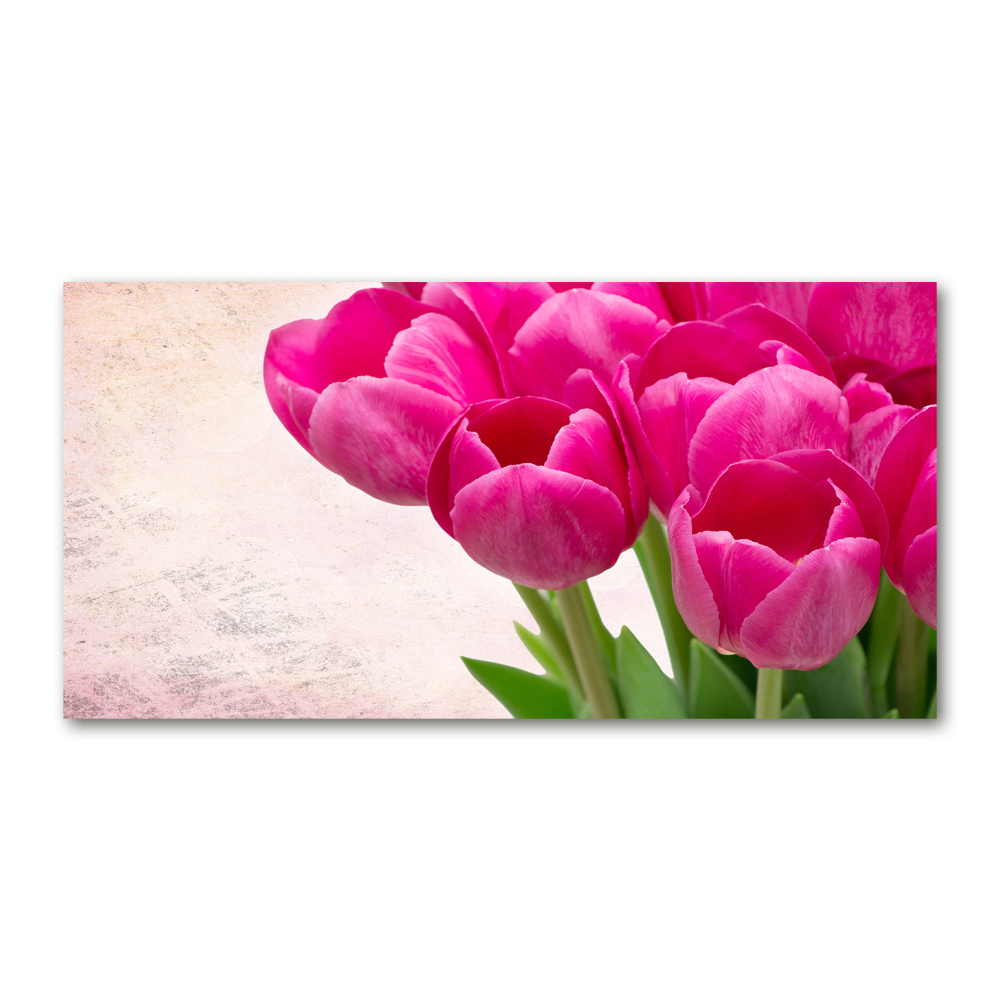 Foto obraz akrylový na stěnu Růžové tulipány