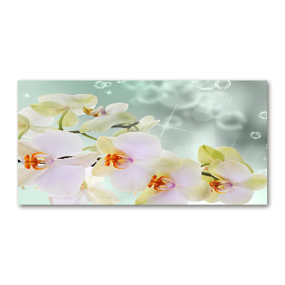 Foto obraz akryl do obýváku Bílá orchidej