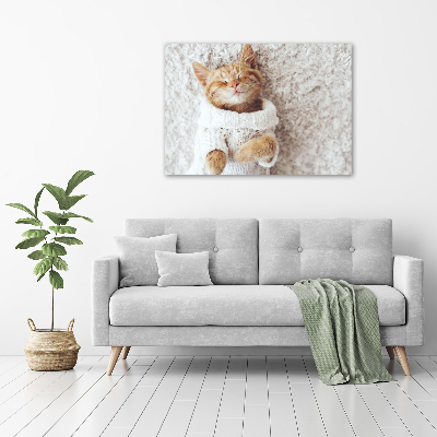 Foto obraz akryl do obýváku Kočka ve svetru