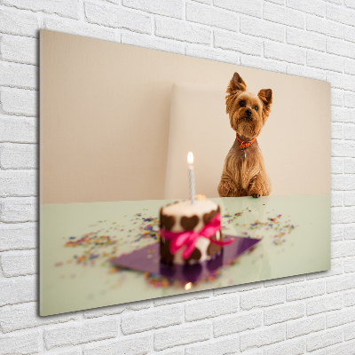 Foto obraz akrylový Pes s dortem