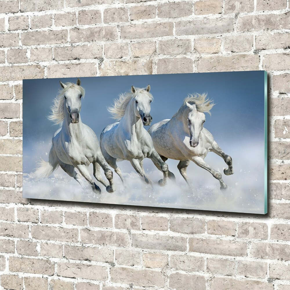 Foto obraz akrylové sklo Koně ve cvalu