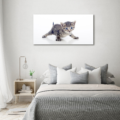 Moderní akrylový fotoobraz Malá kočka