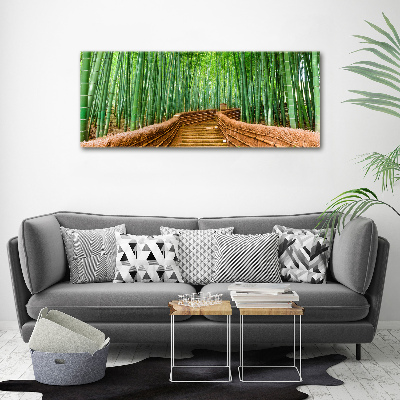 Foto obraz akrylové sklo Bambusový les