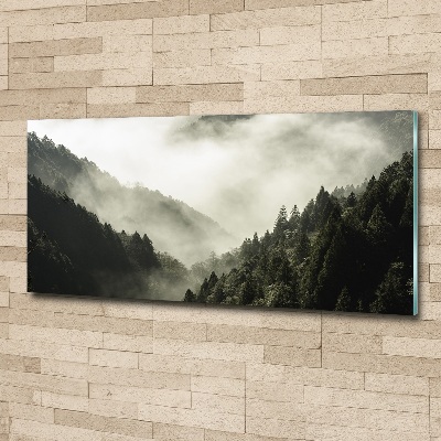 Foto obraz akrylový Mlha nad lesem