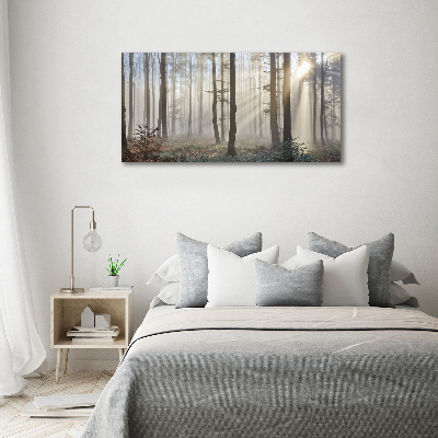 Foto obraz akrylový do obýváku Mlha v lese