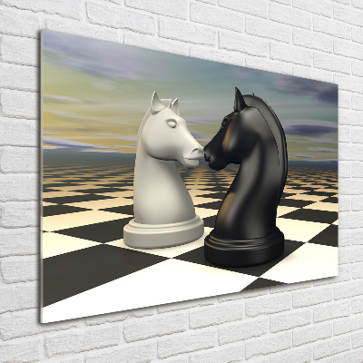 Foto obraz akrylové sklo Šachy koně