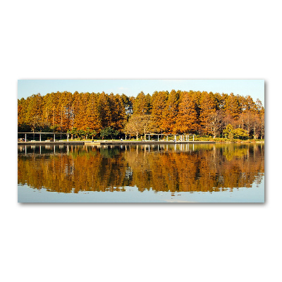 Foto obraz akrylové sklo Les na jezerem