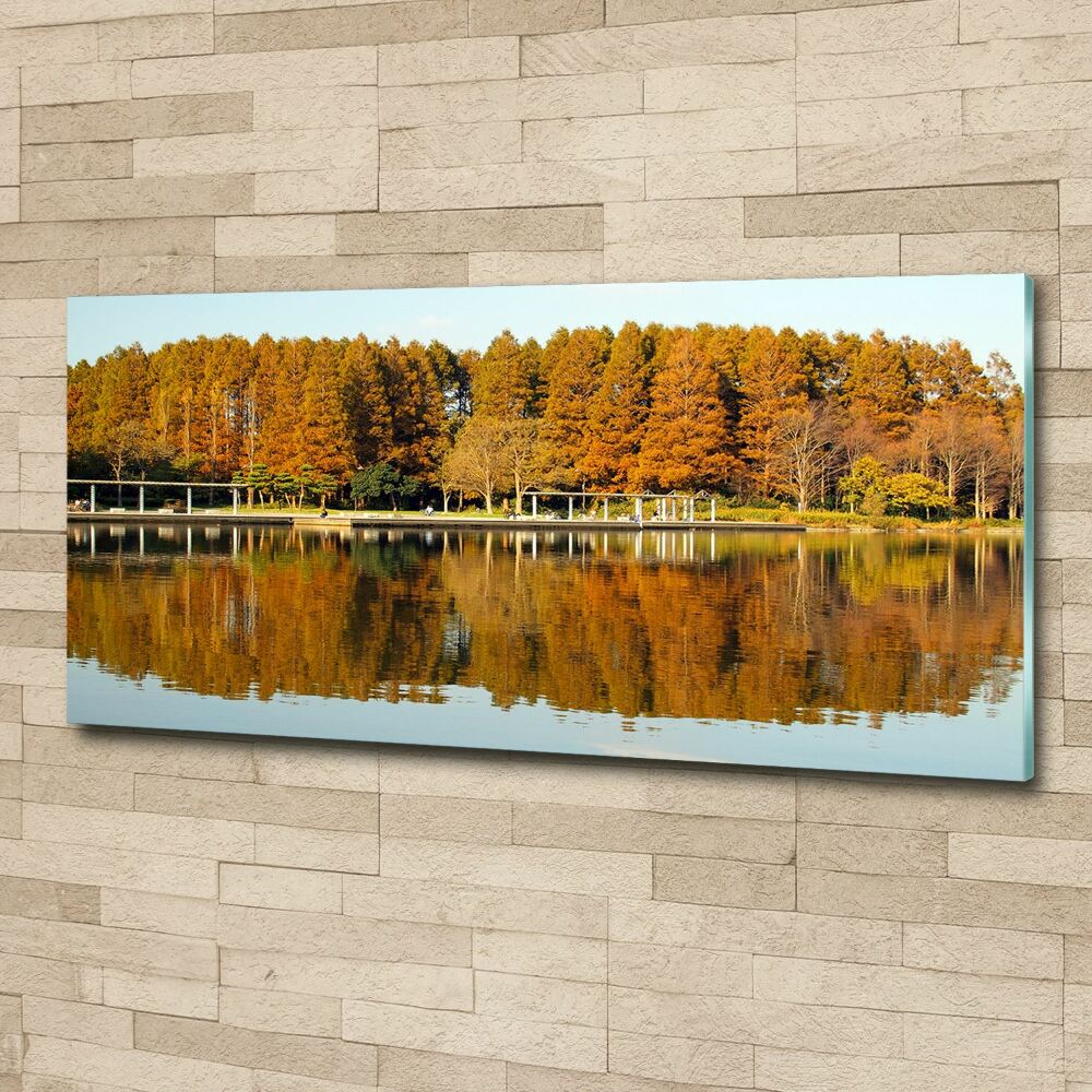 Foto obraz akrylové sklo Les na jezerem