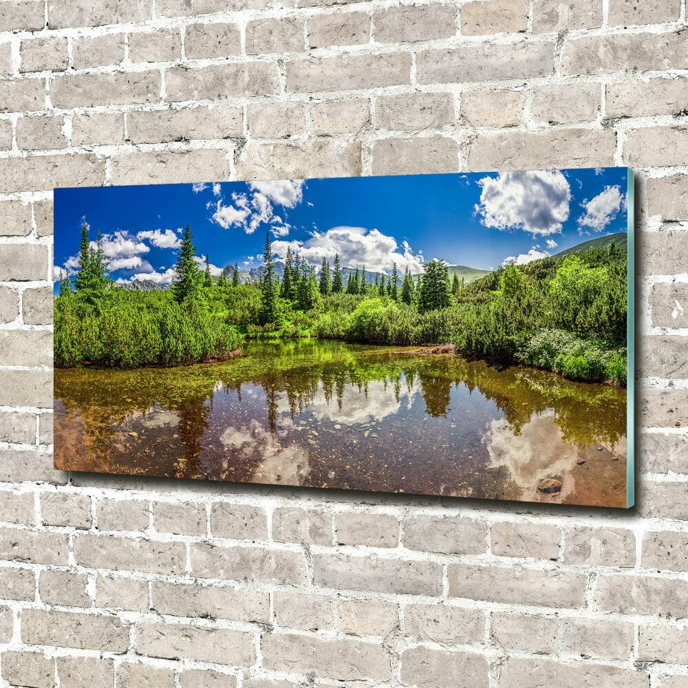 Foto obraz akryl do obýváku Jezerov lese