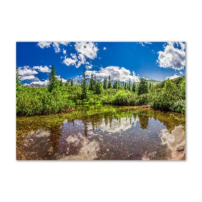 Foto obraz akryl do obýváku Jezerov lese