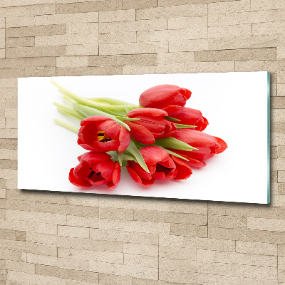 Moderní akrylový fotoobraz Červené tulipány