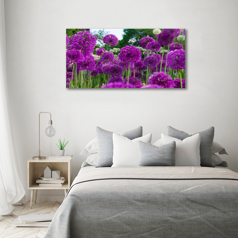 Foto obraz akrylový na stěnu Květ česneku