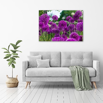 Foto obraz akrylový na stěnu Květ česneku