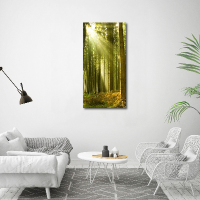 Foto obraz akryl do obýváku vertikální Slunce v lese