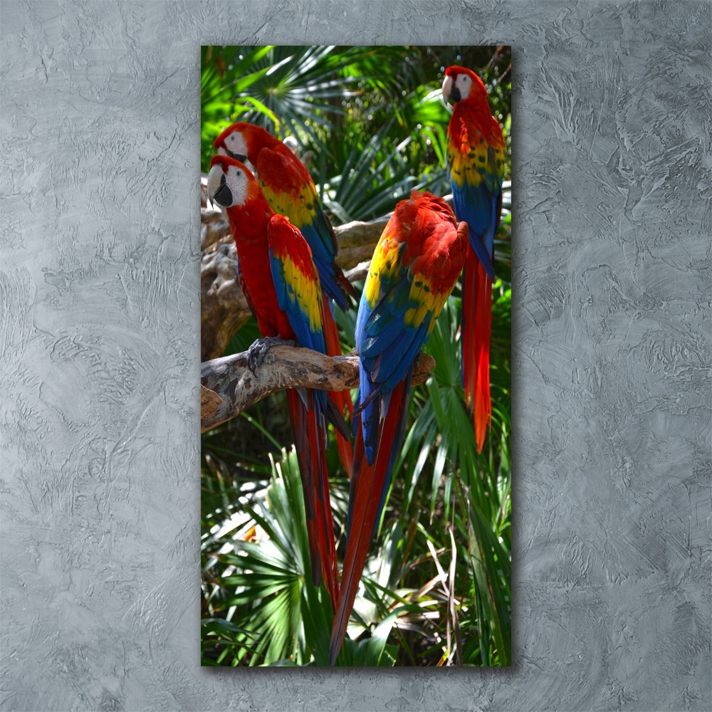Foto obraz akrylový na stěnu vertikální Papoušci Ara
