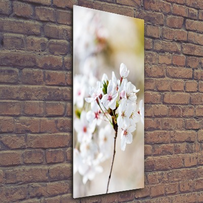 Moderní akrylový fotoobraz vertikální Květy višně
