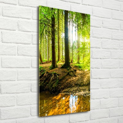 Foto obraz akryl do obýváku vertikální Slunce v lese