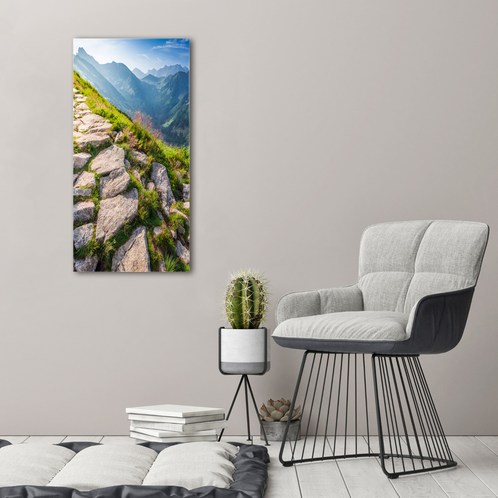 Moderní akrylový fotoobraz vertikální Horská stezka