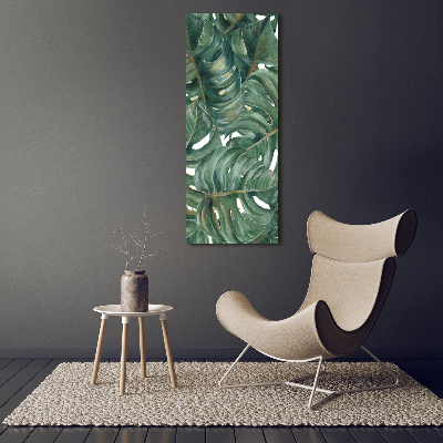Foto obraz akrylový na stěnu vertikální Monstera