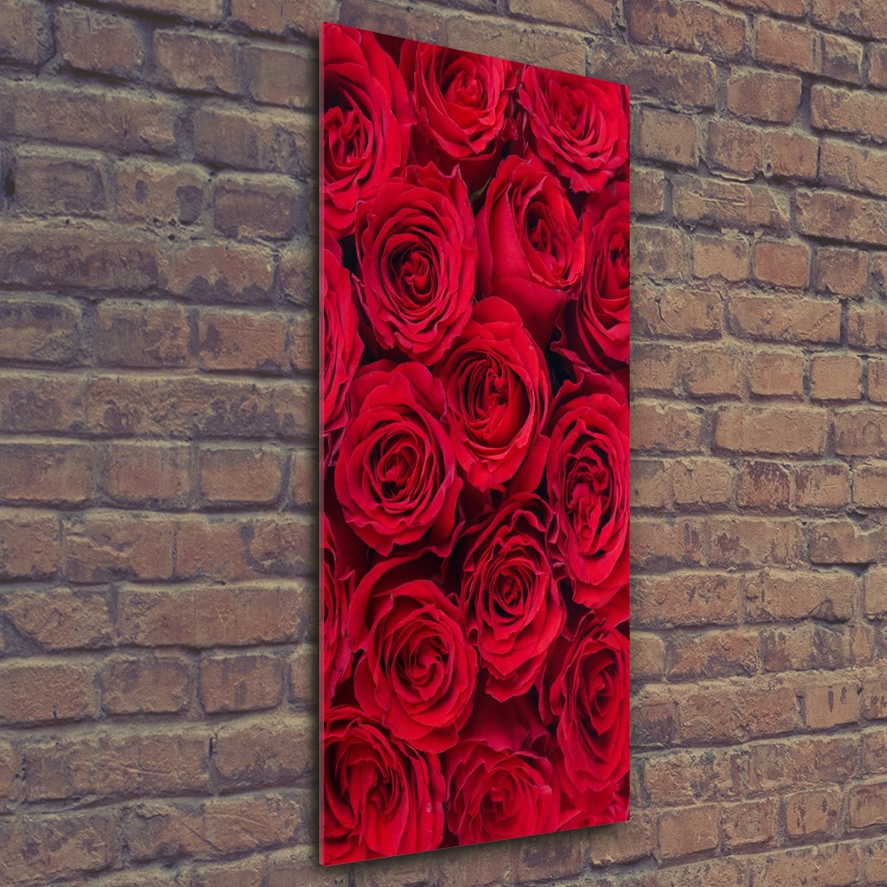 Foto obraz akrylový do obýváku vertikální Červené růže
