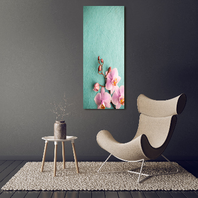 Foto obraz akrylové sklo vertikální Růžová orchidej