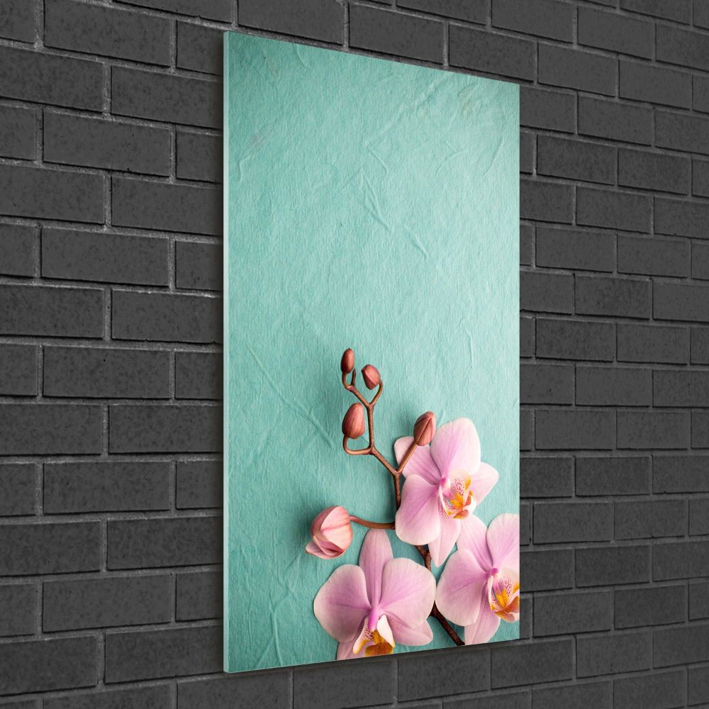 Foto obraz akrylové sklo vertikální Růžová orchidej