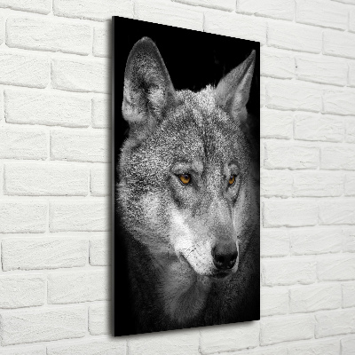 Foto obraz akrylový do obýváku vertikální Portrét vlka