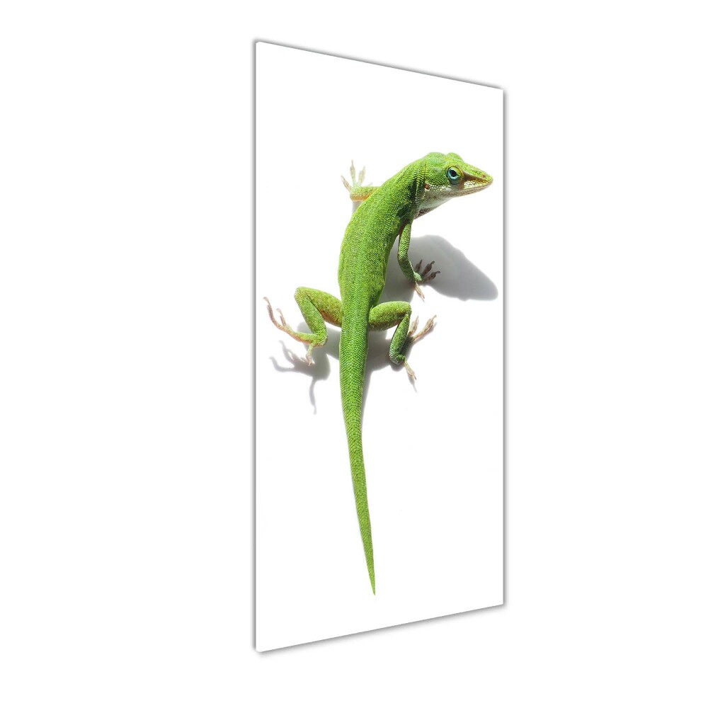 Foto obraz akrylový vertikální Zelená ještěrka