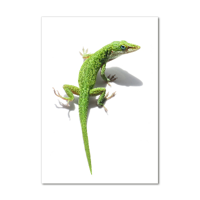 Foto obraz akrylový vertikální Zelená ještěrka