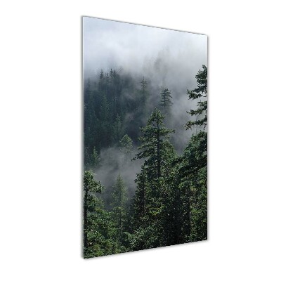 Foto obraz akryl do obýváku vertikální Mlha nad lesem