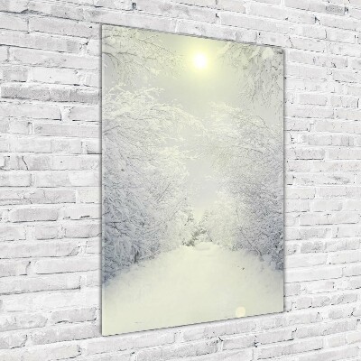 Foto obraz akrylový na stěnu vertikální Les zima