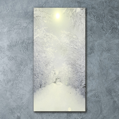 Foto obraz akrylový na stěnu vertikální Les zima
