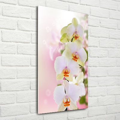 Foto obraz akryl do obýváku vertikální Bílá orchidej