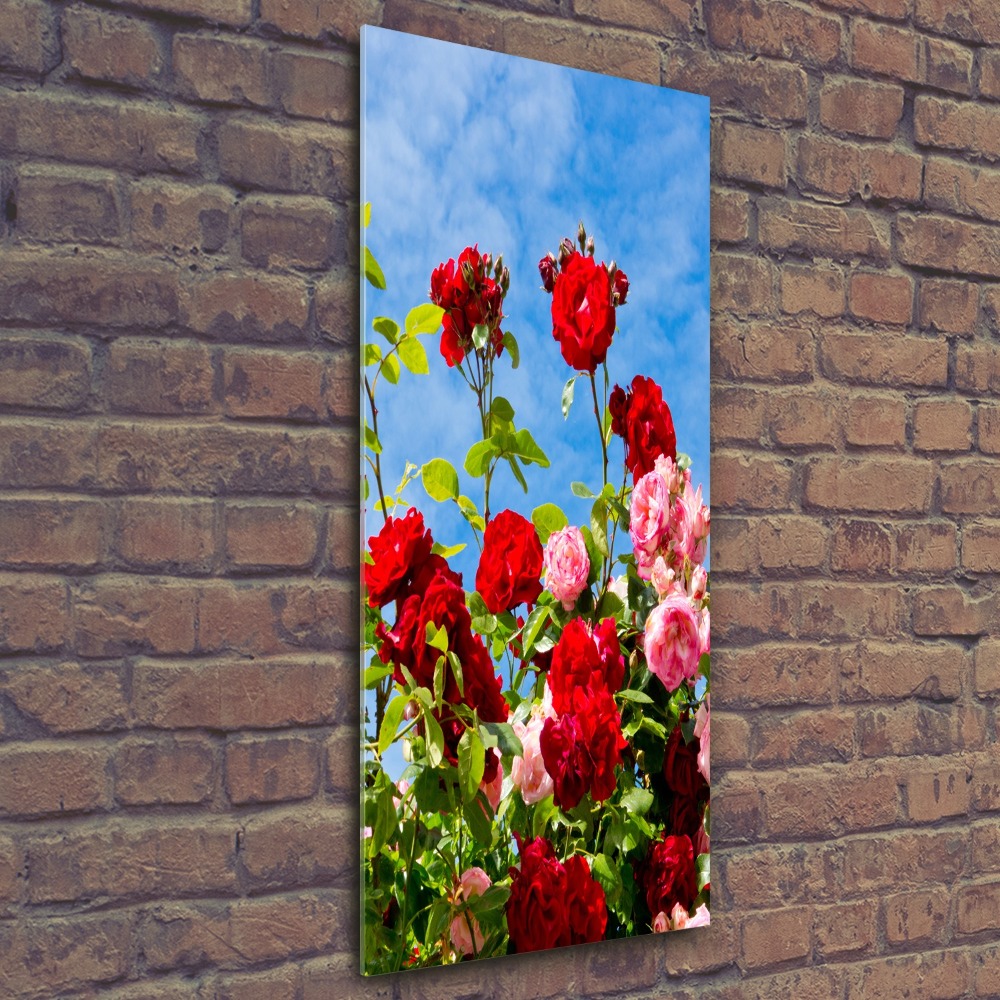 Foto obraz akrylový na stěnu vertikální Divoká růže